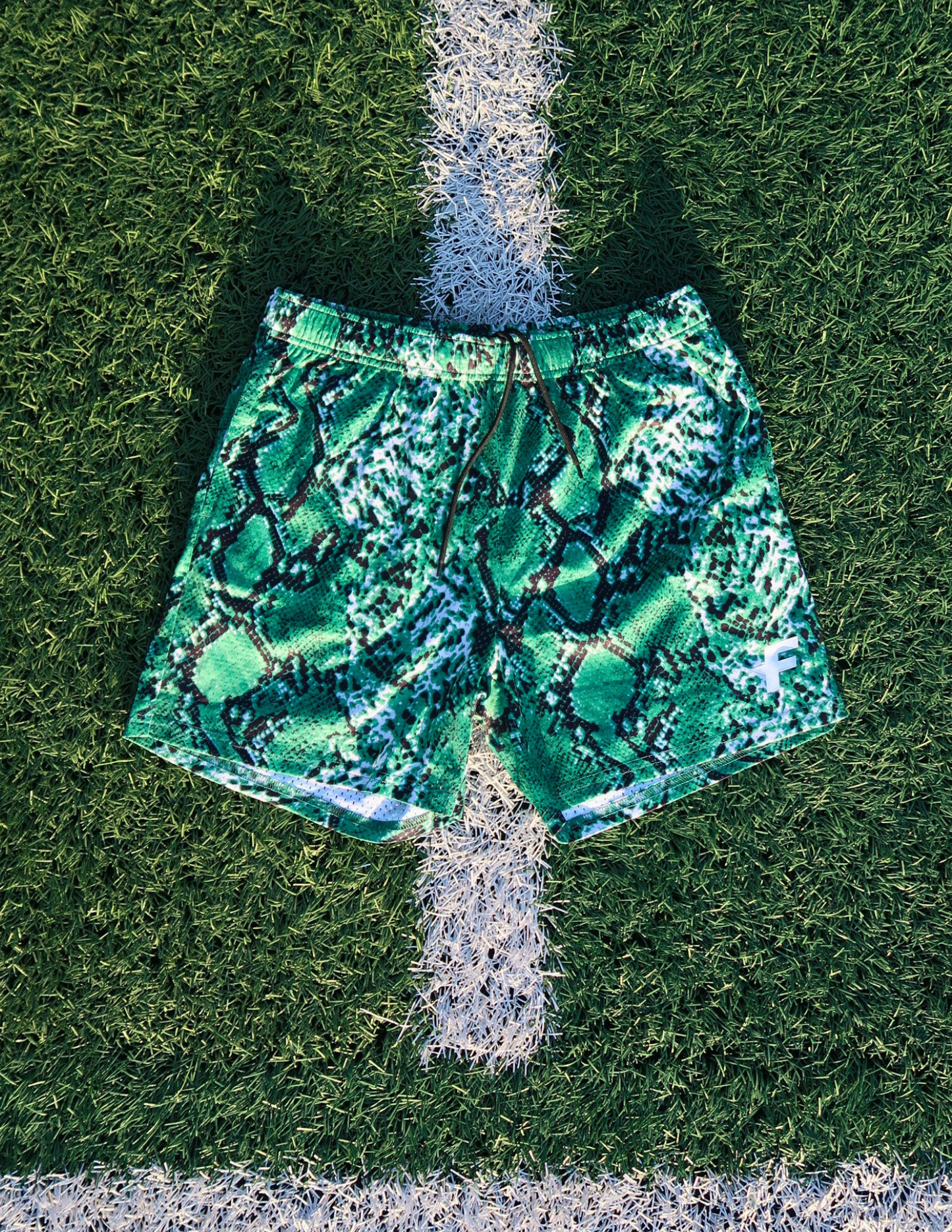 FlowViper Shorts